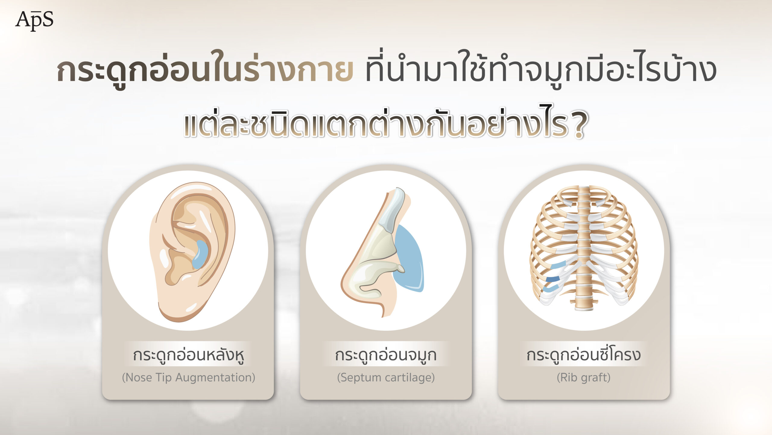กระดูกอ่อนในร่างกาย