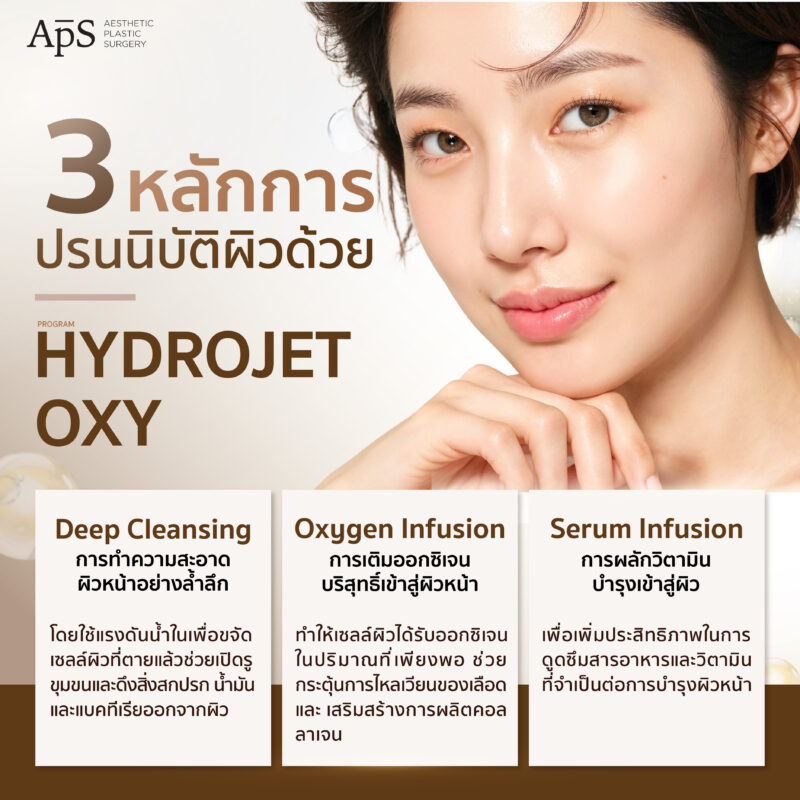 หลักการทำงานของ โปรแกรม Hydrojet Oxy