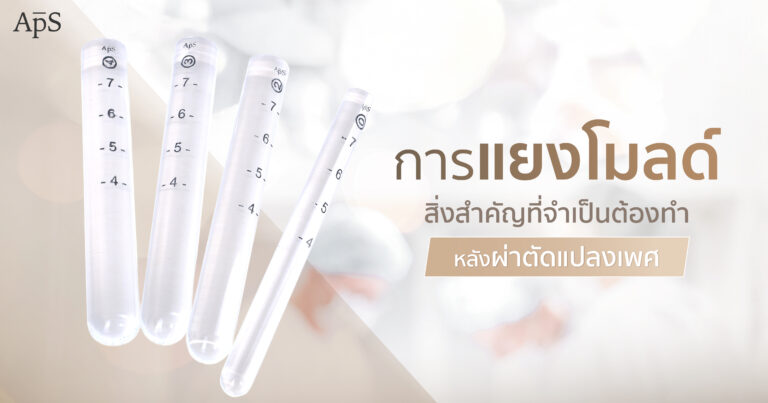 แยงโมลด์