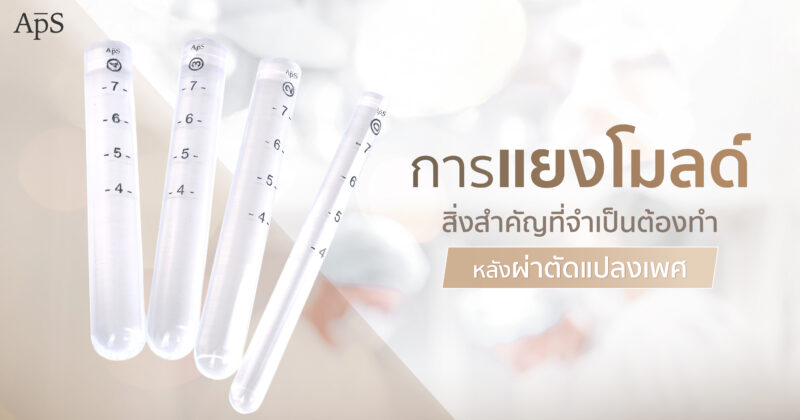 แยงโมลด์