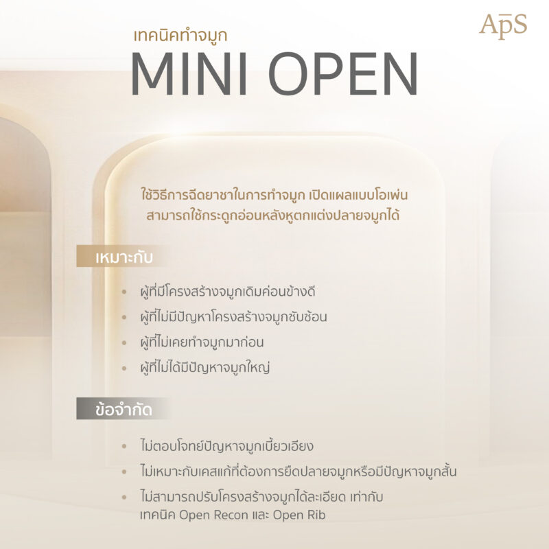 การทำจมูกแบบเปิด Mini Open
