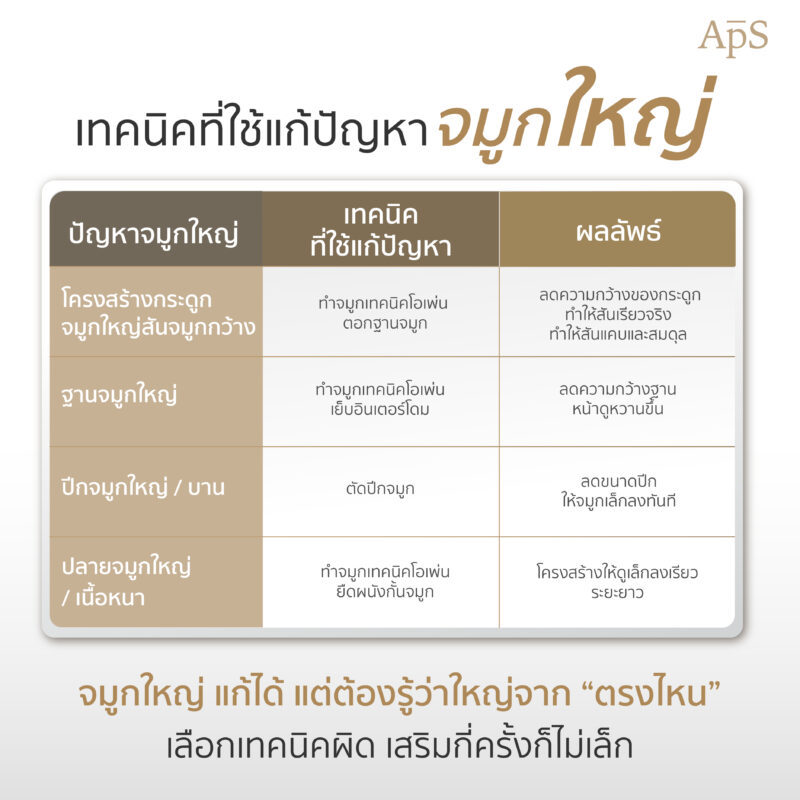 เสริมจมูกเทคนิคไหนแก้ปัญหาจมูกใหญ่ได้ดีกว่า