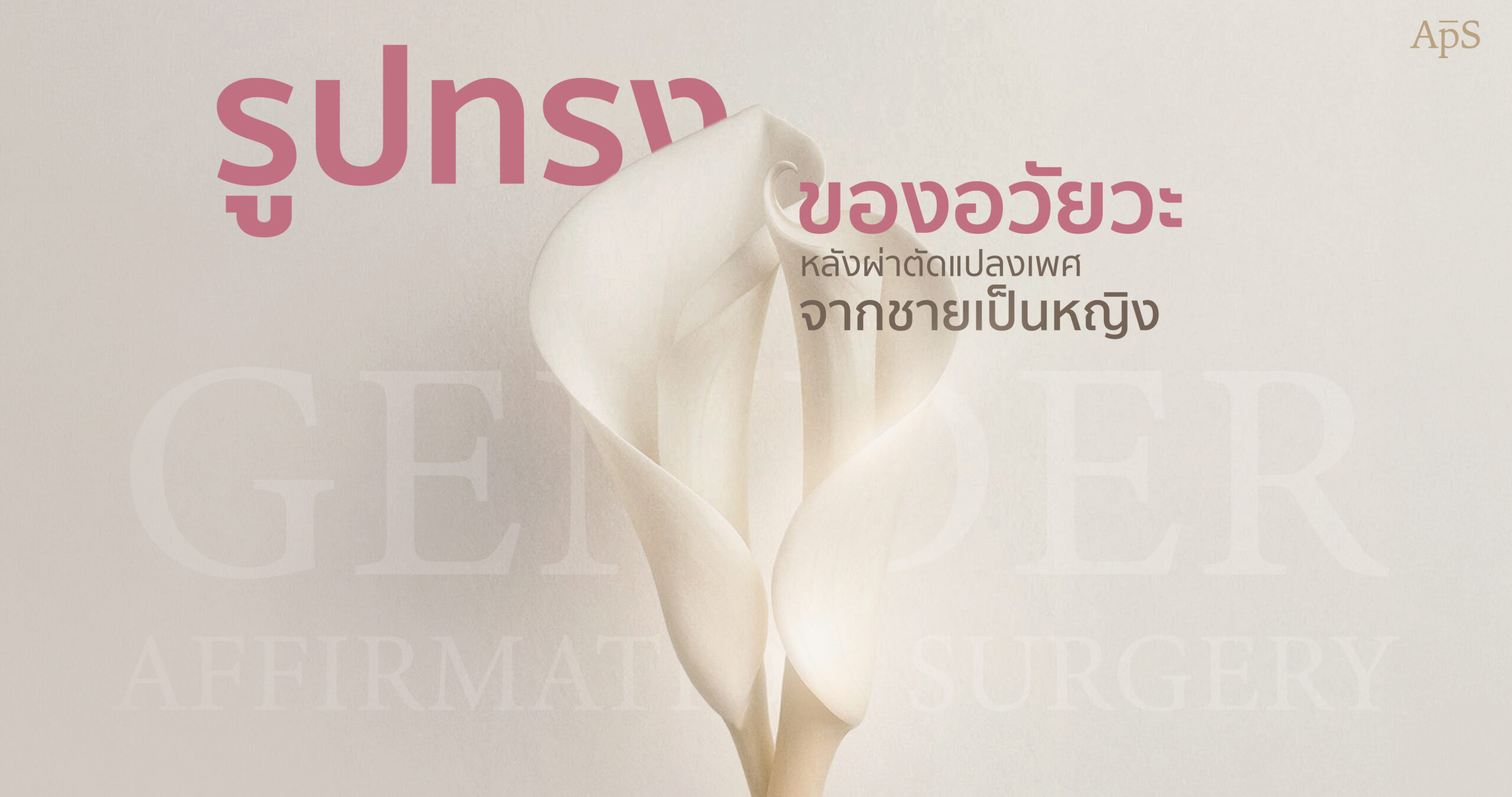 รูปทรงอวัยวะเพศหญิงที่ถูกต้องของการแปลงเพศควรเป็นแบบไหน?