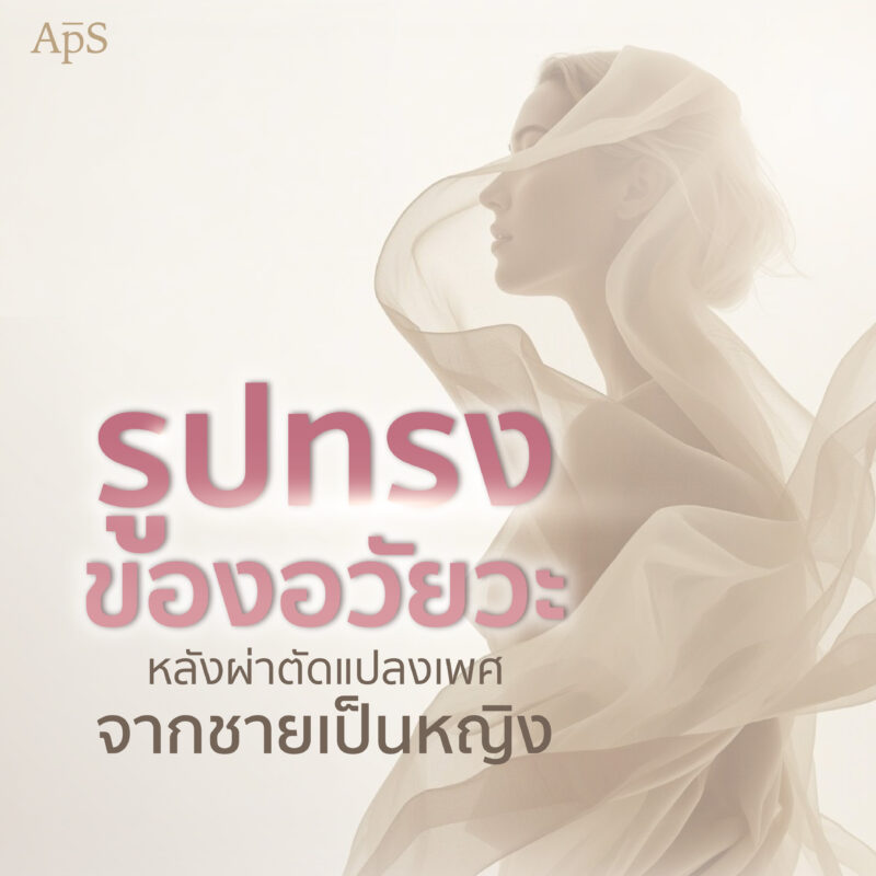 อวัยวะภายนอกเพศหญิง